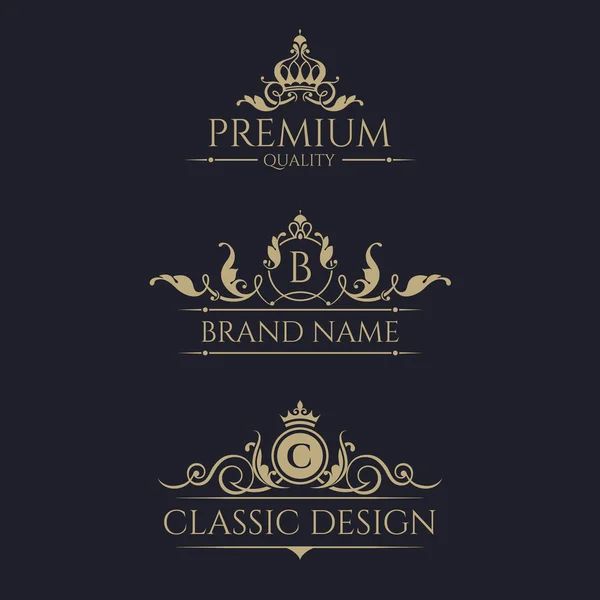 Monogram with crown. Premium borders set. — Stock Vector