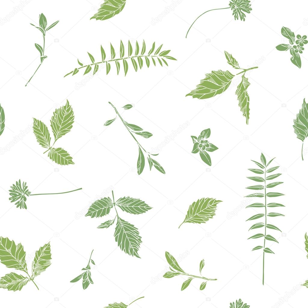 Hand drawn herbs. Seamless floral background.