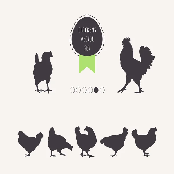 Set chicken hens. — Stock Vector