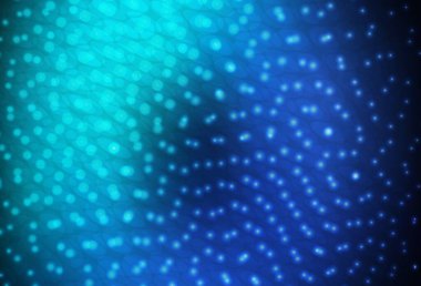 Koyu mavi, baloncuklu yeşil vektör arka planı. Bulanık yağmur damlaları olan soyut bir çizim. Marka kitabınız için yeni şablon.