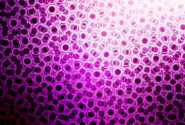 Dairesel açık pembe vektör şablonu. Soyut arka planda bulanık kabarcıklar ve renkli gradyan. Marka kitabınız için yeni şablon.