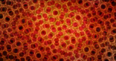 Çemberli soyut renkli arkaplan