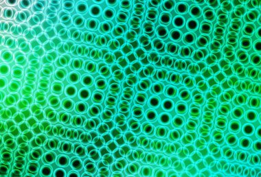 Kabarcıklı açık yeşil vektör arka planı. Parlak renkli soyut çemberlerin olduğu bir resim. Duvar kağıtlarının dokusu için desen.