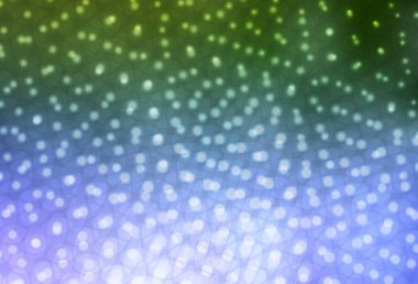 Açık pembe, köpüklü yeşil vektör arkaplan. Parlak renkli soyut çemberlerin olduğu bir resim. Poster ve web siteleri için tasarım.