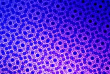 Açık pembe, köpüklü mavi vektör arkaplan. Parlak renkli soyut çemberlerin olduğu bir resim. Güzel web siteleri için desen.