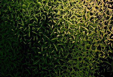 Koyu yeşil, renkli çizgileri olan kırmızı vektör dokusu. Çizgilerle modern geometrik soyut çizim. Reklam, kitapçıklar, broşürler için desen.