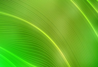 Açık yeşil, sarı vektör modern zarif düzeni. Degrade ile soyut tarzda renkli Illustration. Marka kitabı için zarif arka plan.