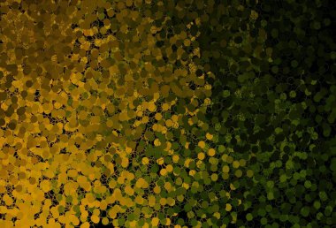 Koyu yeşil, diskli sarı vektör dokusu. Doğa tarzında renkli baloncuklu soyut illüstrasyon. Duvar kağıtlarının dokusu için desen.