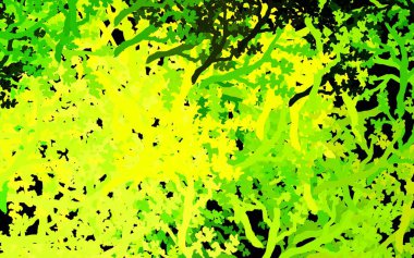 Koyu yeşil, sarı vektör zarif desenli ağaçlar, dallar. Ağaçlarla basit bir şekilde yepyeni renkli bir illüstrasyon. Tasarımınız için yeni şablon.