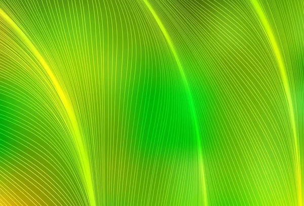 Modèle Vectoriel Vert Clair Jaune Avec Lignes Illustration Colorée Flambant — Image vectorielle