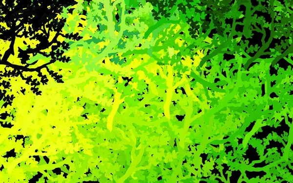Темно Зеленая Желтая Векторная Компоновка Деревьями Ветками Блестящие Абстрактные Иллюстрации — стоковый вектор