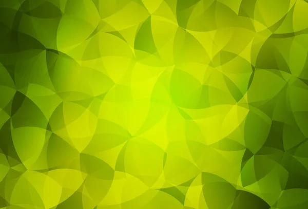Светло Зеленая Желтая Векторная Текстура Различными Формами Красочные Хаотические Формы — стоковый вектор