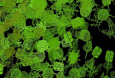 Koyu yeşil, sarı vektör karalama desenli ağaçlar, dallar. Ağaçlarla karalama tarzında yeni renkli çizimler. Markan için şık bir model..