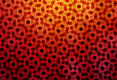 Koyu kırmızı, çemberli sarı vektör şablonu. Doğa tarzında renkli baloncuklu soyut illüstrasyon. Marka kitabınız için yeni şablon.