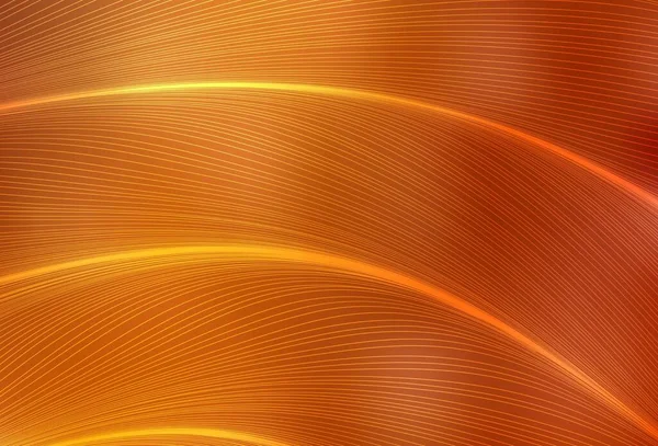 Светло Оранжевая Векторная Компоновка Мокрыми Линиями Красочная Абстрактная Иллюстрация Градиентными — стоковый вектор