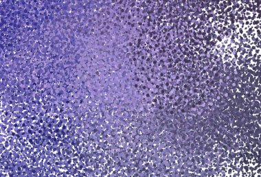 Dairesel açık mor vektör şablonu. Doğa tarzında bulanık halkaları olan güzel renkli çizimler. Poster ve web siteleri için tasarım.