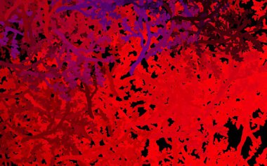 Koyu Mor, pembe vektör karalama arkaplanı, ağaçlar, dallar. Ağaçlarla soyut tarzda yaratıcı bir illüstrasyon. Cep telefonlarının geçmişleri için şablon.