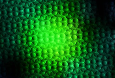 Kabarcıklı koyu yeşil vektör arka planı. Renkli su damlaları olan modern soyut çizimler. Marka kitabınız için yeni şablon.