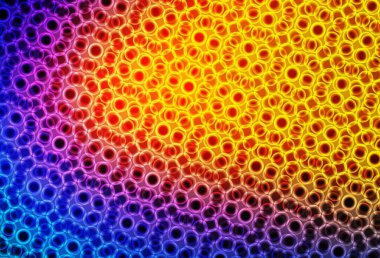 Açık mavi, küreli kırmızı vektör deseni. Doğa tarzında bulanık halkaları olan güzel renkli çizimler. Güzel web siteleri için desen.