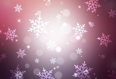 Koyu mor, doğum günü tarzında pembe vektör dokusu. Noel sembolleri ve tabelaları ile renkli çizimler. Kitapçıklar, eğitim broşürleri.