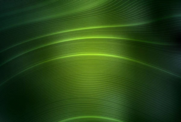 Σκούρο Πράσινο Διάνυσμα Πολύχρωμο Φόντο Θαμπάδα Σύγχρονη Αφηρημένη Απεικόνιση Κλίση — Διανυσματικό Αρχείο