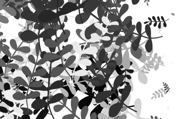 Fond Vectoriel Gris Clair Doodle Avec Feuilles Illustration Décorative Avec — Image vectorielle