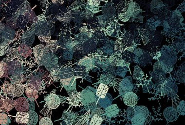 Koyu mavi, kırmızı vektör zarif desenli ağaçlar, dallar. Ağaçlarla soyut tarzda yaratıcı bir illüstrasyon. Markan için şık bir model..