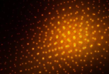 Noktalı koyu turuncu vektör arkaplanı. Bulanık yağmur damlaları olan soyut bir çizim. İş ilanınız için tasarım.