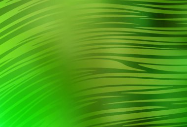 Açık yeşil, sarı vektör arkaplanı ve çizgi çizgileri. Soyut ve gradyan renkte renkli çizimler. Markan için yeni kompozisyon.