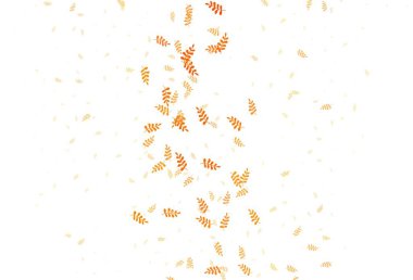 Açık Turuncu vektör yapraklı soyut tasarım. Bulanık arkaplanda, gradyanı olan yapraklar. Web siteleri ve pankartlar için desenli desen.