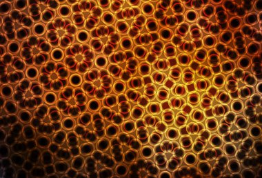 Daireli koyu turuncu vektör şablonu. Parlak renkli soyut çemberlerin olduğu bir resim. Reklamlar, broşürler için desen.