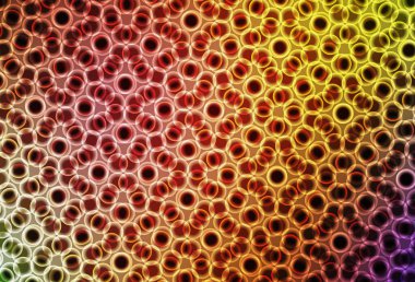 Çember şekilli ışık çok renkli vektör düzeni. Doğa tarzında renkli baloncuklu soyut illüstrasyon. Reklamlar, broşürler için desen.