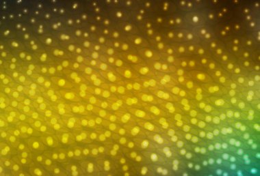 Koyu yeşil, daire şekilli sarı vektör düzeni. Bulanık yağmur damlaları olan soyut bir çizim. Güzel web siteleri için desen.