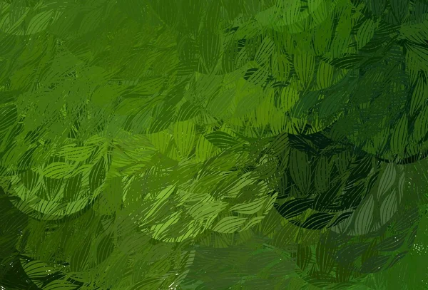 Plantilla Vectorial Verde Claro Con Formas Caóticas Ilustración Con Formas — Vector de stock