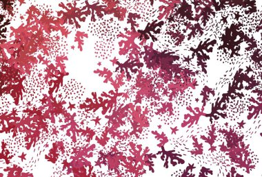 Açık pembe, kaotik şekilli kırmızı vektör şablonu. Modern tarzda değişen renkli kaotik formlar. Bir cep telefonu için arka plan.