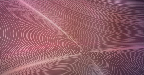 Looping Animação Rosa Escuro Com Linhas Afiadas Linhas Brilhantes Coloridas — Vídeo de Stock