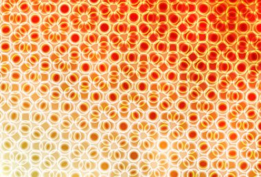 Lekeli hafif turuncu vektör arkaplanı. Soyut arka planda bulanık kabarcıklar ve renkli gradyan. Marka kitabınız için yeni şablon.