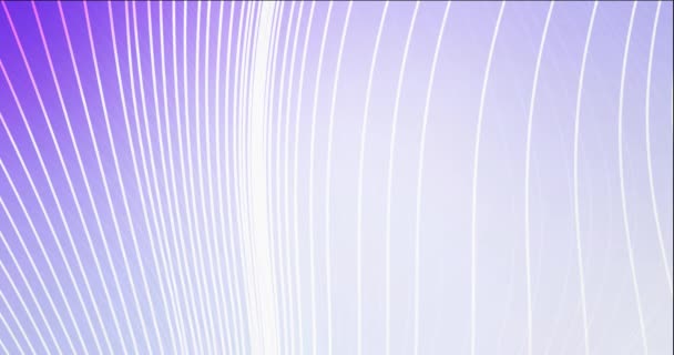 4K looping luz púrpura fluyendo vídeo con líneas rectas. — Vídeo de stock