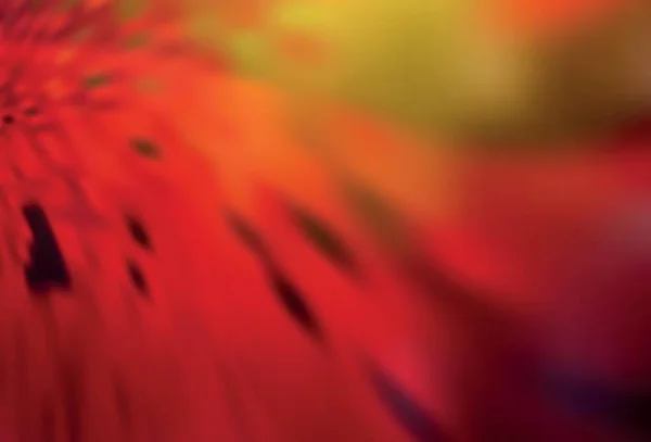 Koyu Kırmızı Sarı Vektör Bulanık Şablon Görüntü Stili Gradyanı Olan — Stok Vektör
