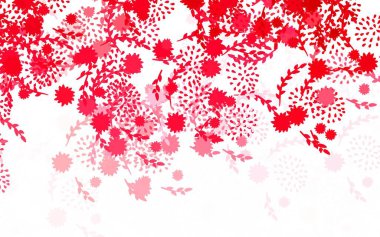 Açık pembe, çiçekli kırmızı vektör şablonu, güller. Parlak renkli resimli çiçekler. Ağ ve ambalaj için elle boyanmış tasarım.