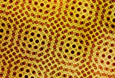 Kabarcıklı koyu sarı vektör arka plan. Bulanık dekoratif tasarım baloncuklu soyut tarzda. Güzel web siteleri için desen.