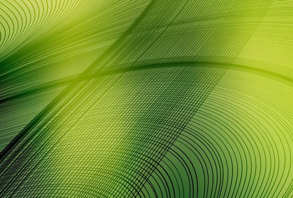 Hellgrüner Gelber Vektorhintergrund Mit Linien Eine Völlig Neue Farbenfrohe Illustration — Stockvektor