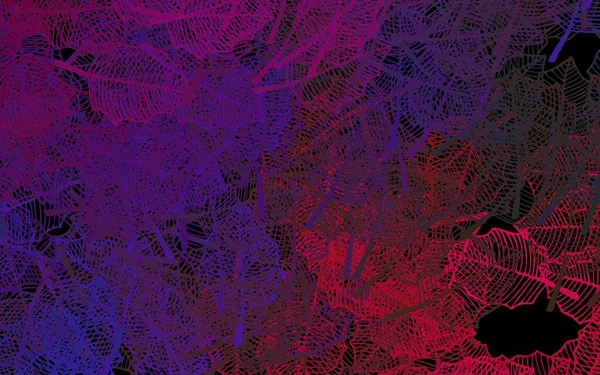 Dark Multicolor Vector Doodle Hintergrund Mit Blättern Bunte Abstrakte Illustration — Stockvektor