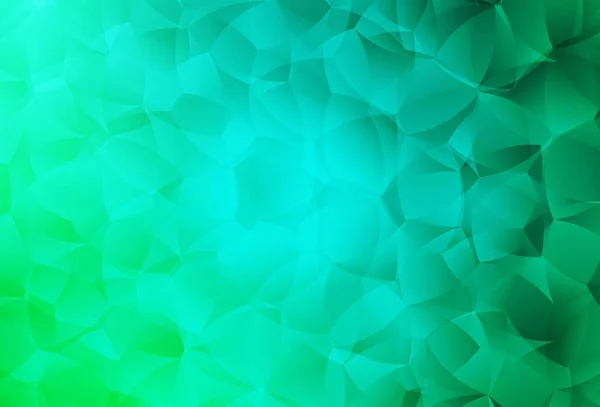 Světle Zelený Vektorový Obrazec Náhodnými Tvary Jednoduchá Barevná Ilustrace Abstraktními — Stockový vektor