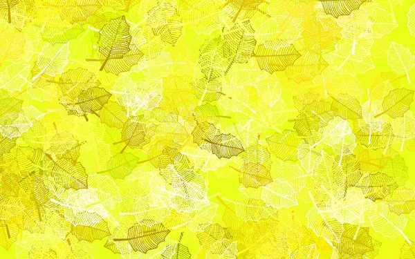 Vert Clair Motif Vectoriel Jaune Doodle Avec Des Feuilles Feuilles — Image vectorielle