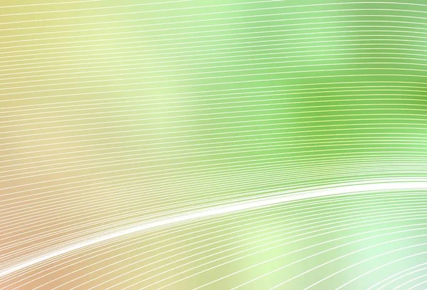 Hellgrüner Roter Vektor Abstrakter Verschwommener Hintergrund Glitzernde Abstrakte Illustration Mit — Stockvektor