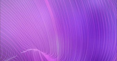Açık mor 4K döngü, düz çizgileri olan pembe video görüntüleri.