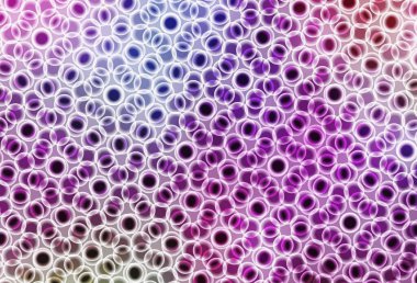 Açık Mor, daireli pembe vektör şablonu. Doğa tarzında renkli baloncuklu soyut illüstrasyon. Güzel web siteleri için desen.