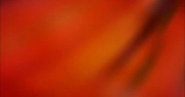 Bulanık malzemelerle Açık Kırmızı Sarı 4K döngüsü. Gradyanı olan modern soyut animasyon. Mobil uygulamalar için şarjör 