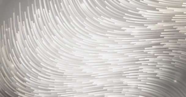 4K looping ljusgrå animerade linjer, kurvor. — Stockvideo